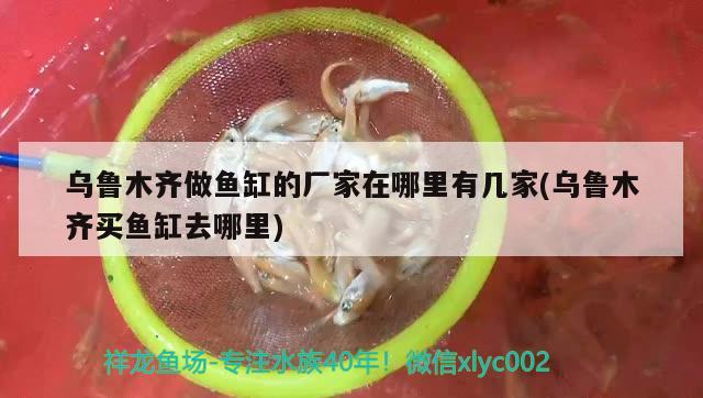 乌鲁木齐做鱼缸的厂家在哪里有几家(乌鲁木齐买鱼缸去哪里)