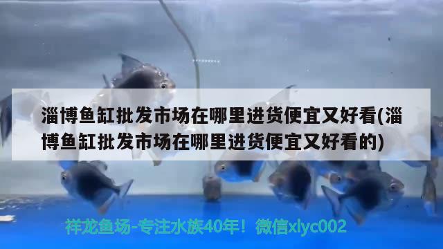 淄博鱼缸批发市场在哪里进货便宜又好看(淄博鱼缸批发市场在哪里进货便宜又好看的) 水族杂谈