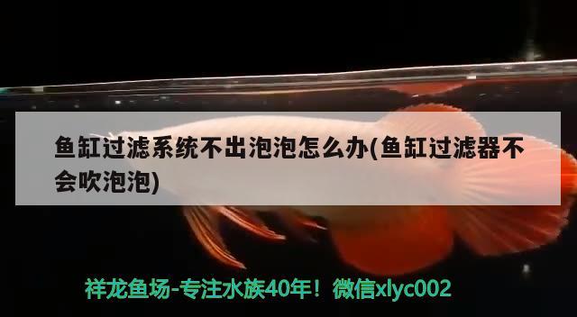 鱼缸过滤系统不出泡泡怎么办(鱼缸过滤器不会吹泡泡) 水族品牌