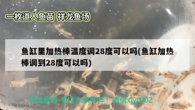 鱼缸里加热棒温度调28度可以吗(鱼缸加热棒调到28度可以吗) 名贵锦鲤鱼