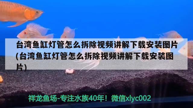 台湾鱼缸灯管怎么拆除视频讲解下载安装图片(台湾鱼缸灯管怎么拆除视频讲解下载安装图片) 申古三间鱼 第2张