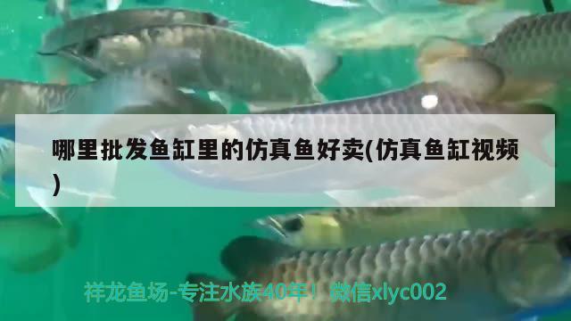 哪里批发鱼缸里的仿真鱼好卖(仿真鱼缸视频) 海水鱼（海水鱼批发）