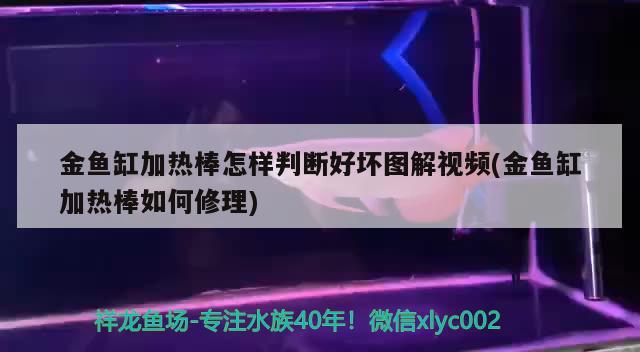 金鱼缸加热棒怎样判断好坏图解视频(金鱼缸加热棒如何修理) 恐龙王鱼