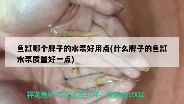 鱼缸哪个牌子的水泵好用点(什么牌子的鱼缸水泵质量好一点) 鱼缸水泵