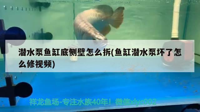 潜水泵鱼缸底侧壁怎么拆(鱼缸潜水泵坏了怎么修视频) 杰西卡恐龙鱼