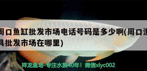 周口鱼缸批发市场电话号码是多少啊(周口渔具批发市场在哪里) 帝王迷宫