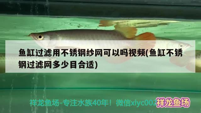 鱼缸过滤用不锈钢纱网可以吗视频(鱼缸不锈钢过滤网多少目合适)