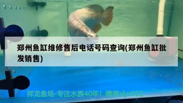 郑州鱼缸维修售后电话号码查询(郑州鱼缸批发销售)