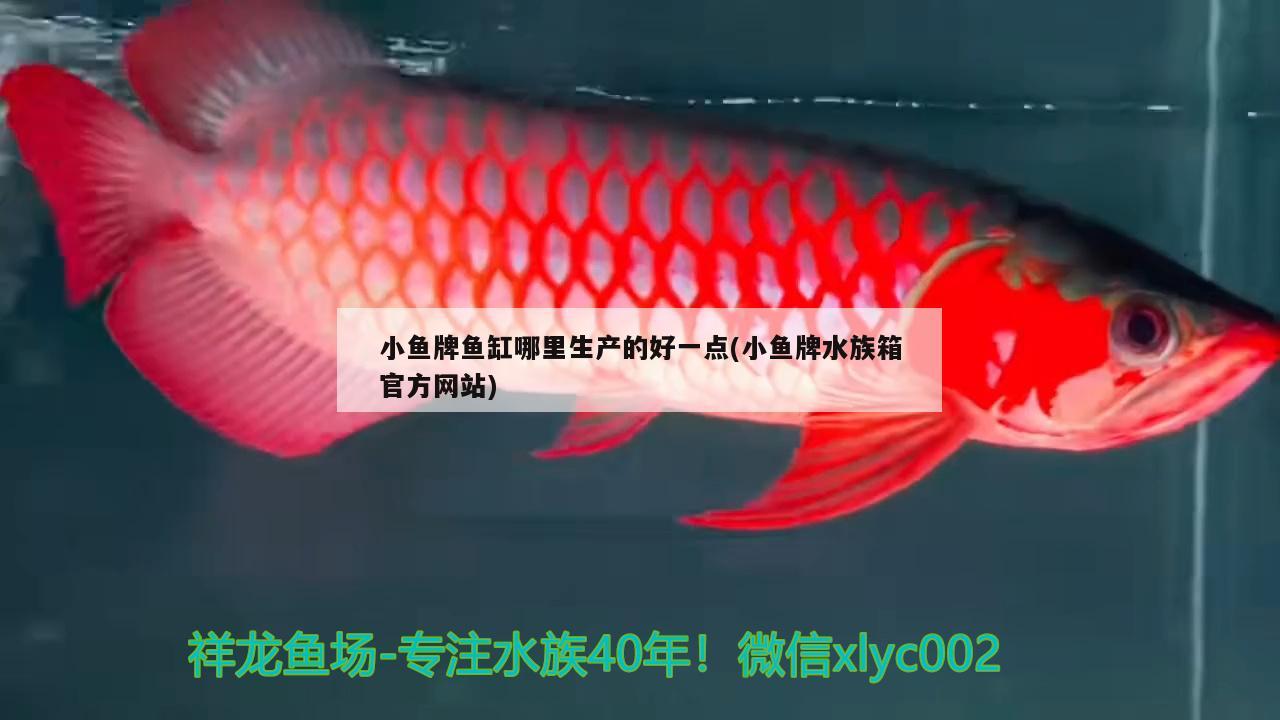 小鱼牌鱼缸哪里生产的好一点(小鱼牌水族箱官方网站) 鱼缸/水族箱