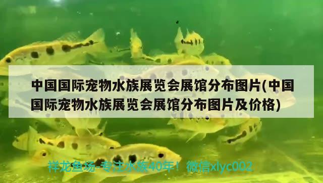 中国国际宠物水族展览会展馆分布图片(中国国际宠物水族展览会展馆分布图片及价格) 水族展会