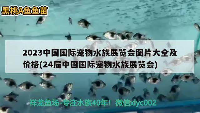 2023中国国际宠物水族展览会图片大全及价格(24届中国国际宠物水族展览会)