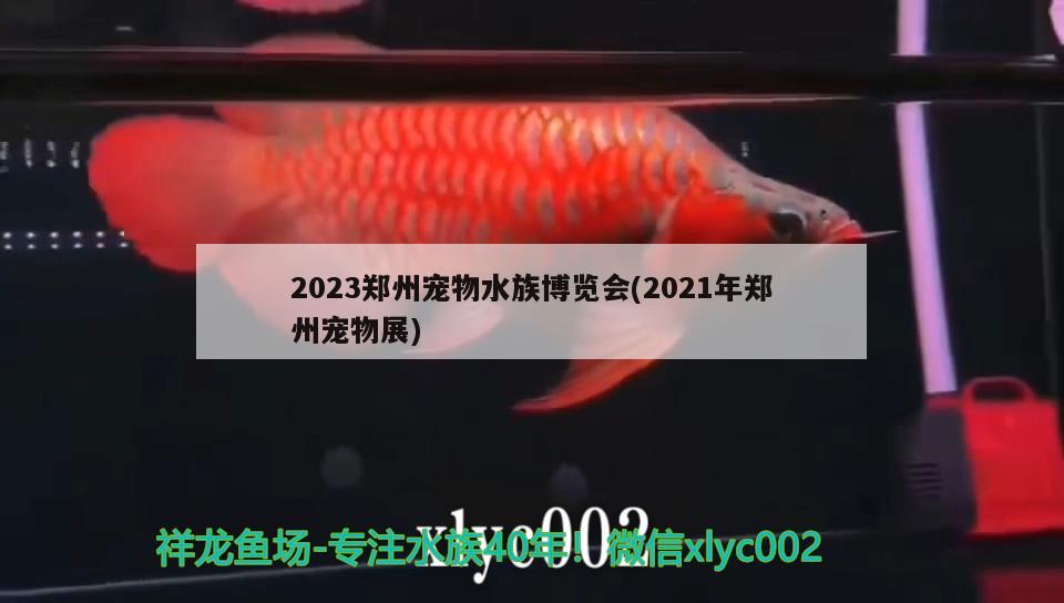 2023郑州宠物水族博览会(2021年郑州宠物展)