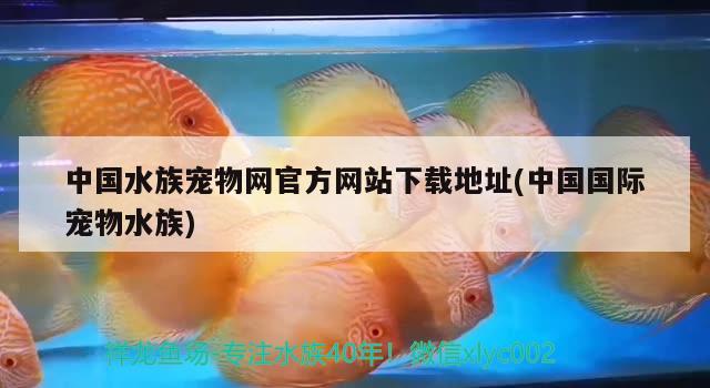 中国水族宠物网官方网站下载地址(中国国际宠物水族)