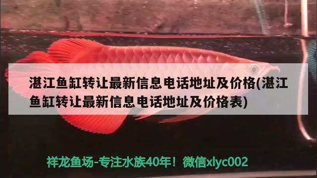 湛江鱼缸转让最新信息电话地址及价格(湛江鱼缸转让最新信息电话地址及价格表)