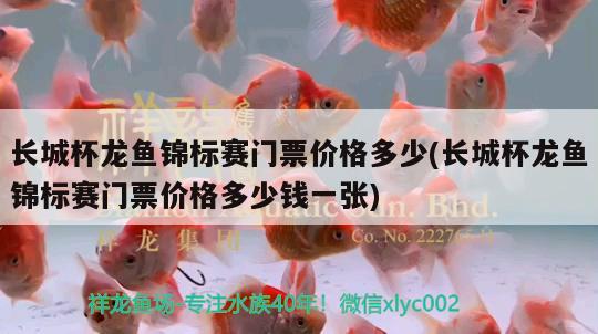 长城杯龙鱼锦标赛门票价格多少(长城杯龙鱼锦标赛门票价格多少钱一张)