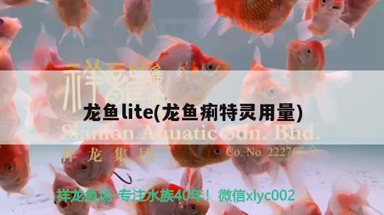 龙鱼lite(龙鱼痢特灵用量) 2024第28届中国国际宠物水族展览会CIPS（长城宠物展2024 CIPS）