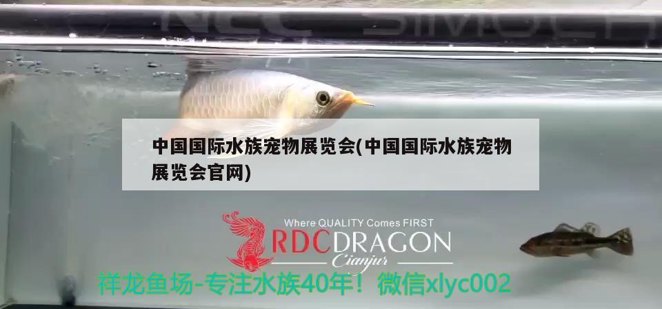 中国国际水族宠物展览会(中国国际水族宠物展览会官网) 2024第28届中国国际宠物水族展览会CIPS（长城宠物展2024 CIPS） 第2张