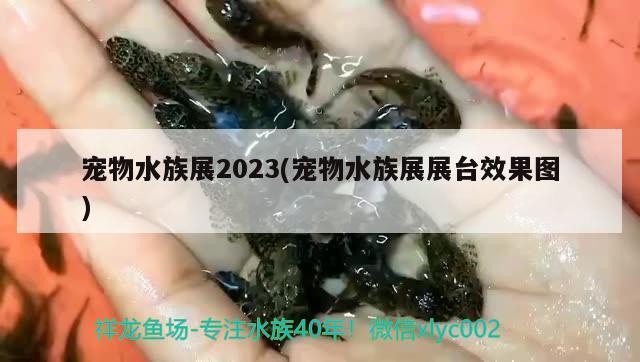 宠物水族展2023(宠物水族展展台效果图)