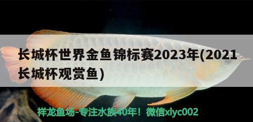 长城杯世界金鱼锦标赛2023年(2021长城杯观赏鱼)