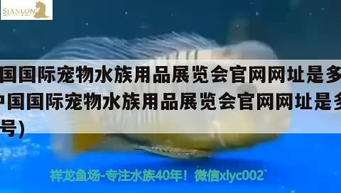 中国国际宠物水族用品展览会官网网址是多少(中国国际宠物水族用品展览会官网网址是多少号) 水族用品