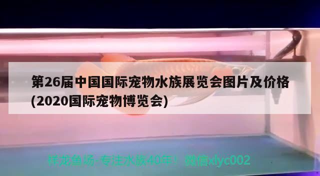 第26届中国国际宠物水族展览会图片及价格(2020国际宠物博览会) 水族展会