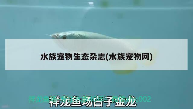 水族宠物生态杂志(水族宠物网)