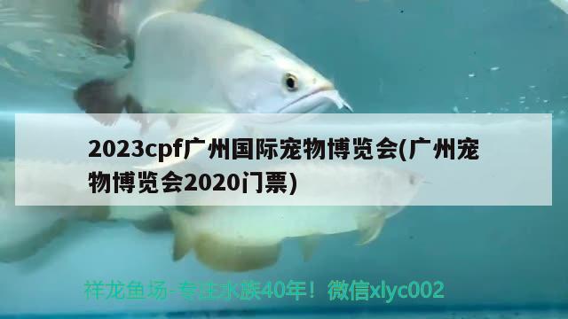 2023cpf广州国际宠物博览会(广州宠物博览会2020门票) 2024第28届中国国际宠物水族展览会CIPS（长城宠物展2024 CIPS）