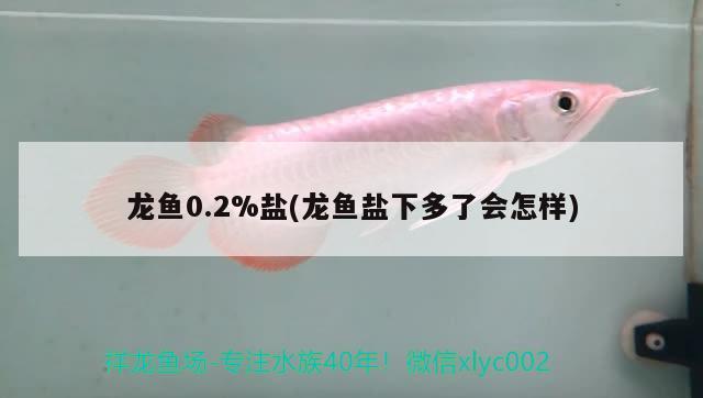 龙鱼0.2%盐(龙鱼盐下多了会怎样) 2024第28届中国国际宠物水族展览会CIPS（长城宠物展2024 CIPS）