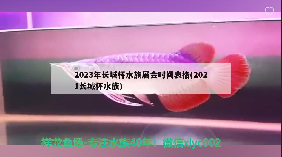 2023年长城杯水族展会时间表格(2021长城杯水族)