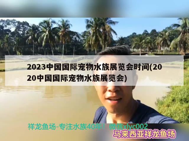 2023中国国际宠物水族展览会时间(2020中国国际宠物水族展览会)