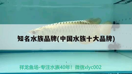 知名水族品牌(中国水族十大品牌) 水族品牌