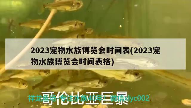 2023宠物水族博览会时间表(2023宠物水族博览会时间表格) 2024第28届中国国际宠物水族展览会CIPS（长城宠物展2024 CIPS）