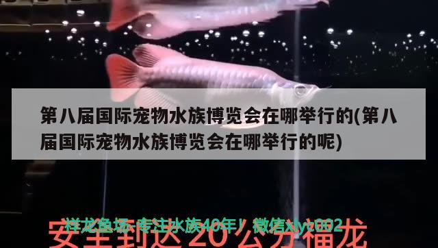 第八届国际宠物水族博览会在哪举行的(第八届国际宠物水族博览会在哪举行的呢)