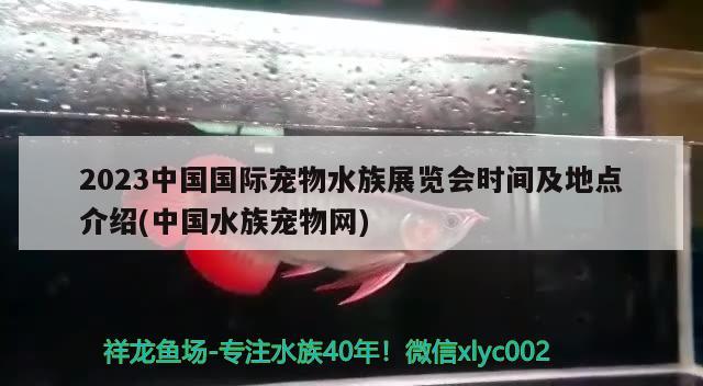 2023中国国际宠物水族展览会时间及地点介绍(中国水族宠物网)