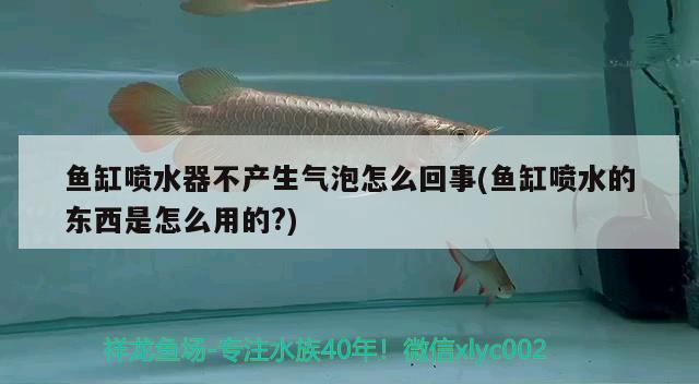 鱼缸喷水器不产生气泡怎么回事(鱼缸喷水的东西是怎么用的?) 雪龙鱼