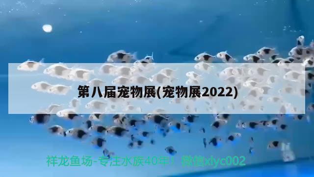 第八届宠物展(宠物展2022) 2024第28届中国国际宠物水族展览会CIPS（长城宠物展2024 CIPS）