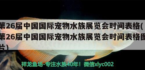 第26届中国国际宠物水族展览会时间表格(第26届中国国际宠物水族展览会时间表格图片)