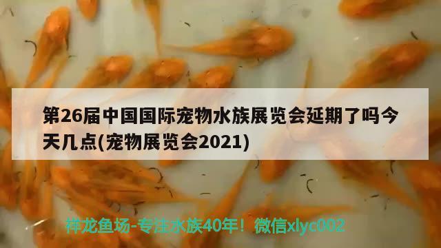 第26届中国国际宠物水族展览会延期了吗今天几点(宠物展览会2021) 水族展会 第2张