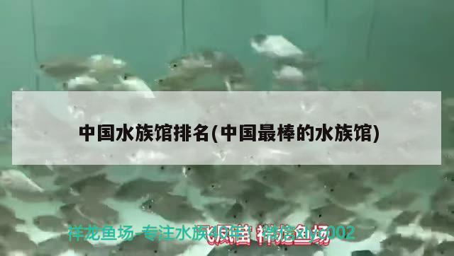 中国水族馆排名(中国最棒的水族馆)