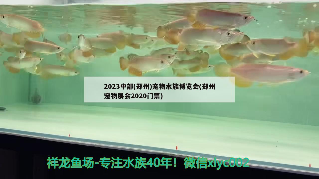 2023中部(郑州)宠物水族博览会(郑州宠物展会2020门票)