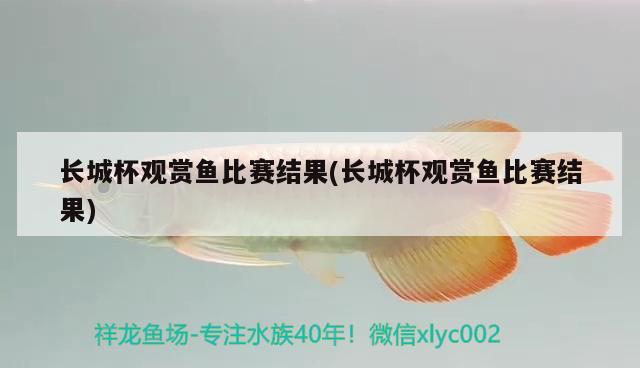 长城杯观赏鱼比赛结果(长城杯观赏鱼比赛结果) 2024第28届中国国际宠物水族展览会CIPS（长城宠物展2024 CIPS）