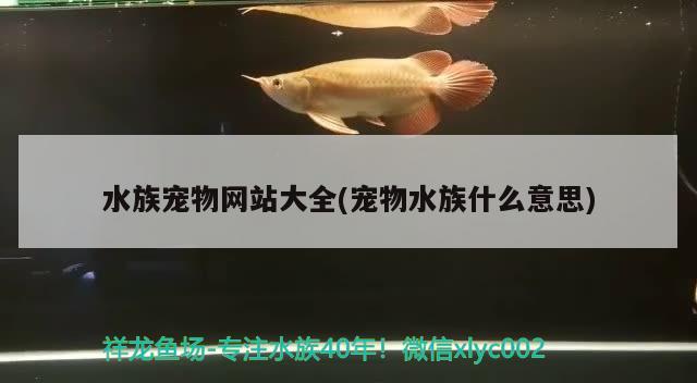 水族宠物网站大全(宠物水族什么意思) 2024第28届中国国际宠物水族展览会CIPS（长城宠物展2024 CIPS）