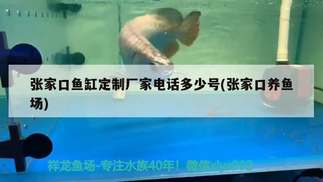 张家口鱼缸定制厂家电话多少号(张家口养鱼场)