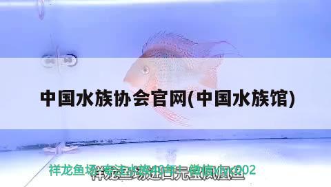 中国水族协会官网(中国水族馆)