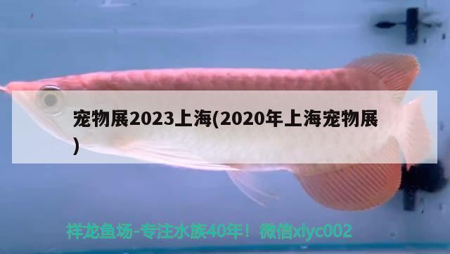 宠物展2023上海(2020年上海宠物展)