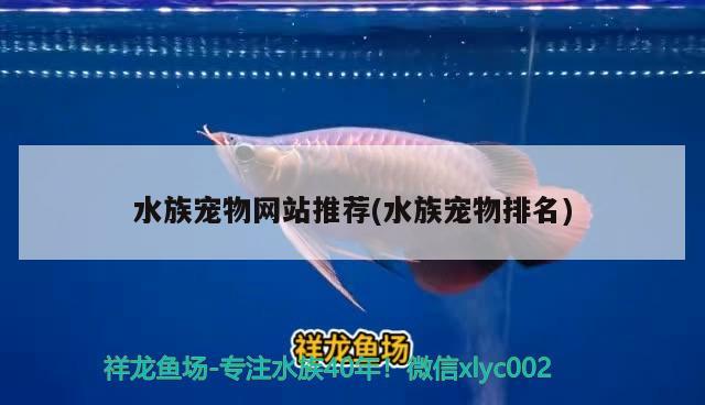 水族宠物网站推荐(水族宠物排名) 2024第28届中国国际宠物水族展览会CIPS（长城宠物展2024 CIPS）