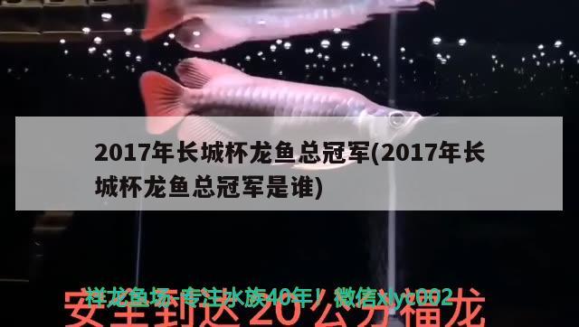 2017年长城杯龙鱼总冠军(2017年长城杯龙鱼总冠军是谁) 2024第28届中国国际宠物水族展览会CIPS（长城宠物展2024 CIPS）