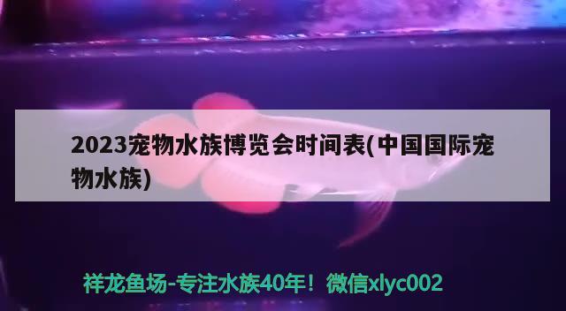 2023宠物水族博览会时间表(中国国际宠物水族) 2024第28届中国国际宠物水族展览会CIPS（长城宠物展2024 CIPS）