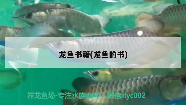 龙鱼书籍(龙鱼的书)