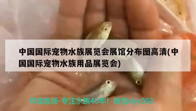 中国国际宠物水族展览会展馆分布图高清(中国国际宠物水族用品展览会)